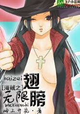 海贼之无限翅膀